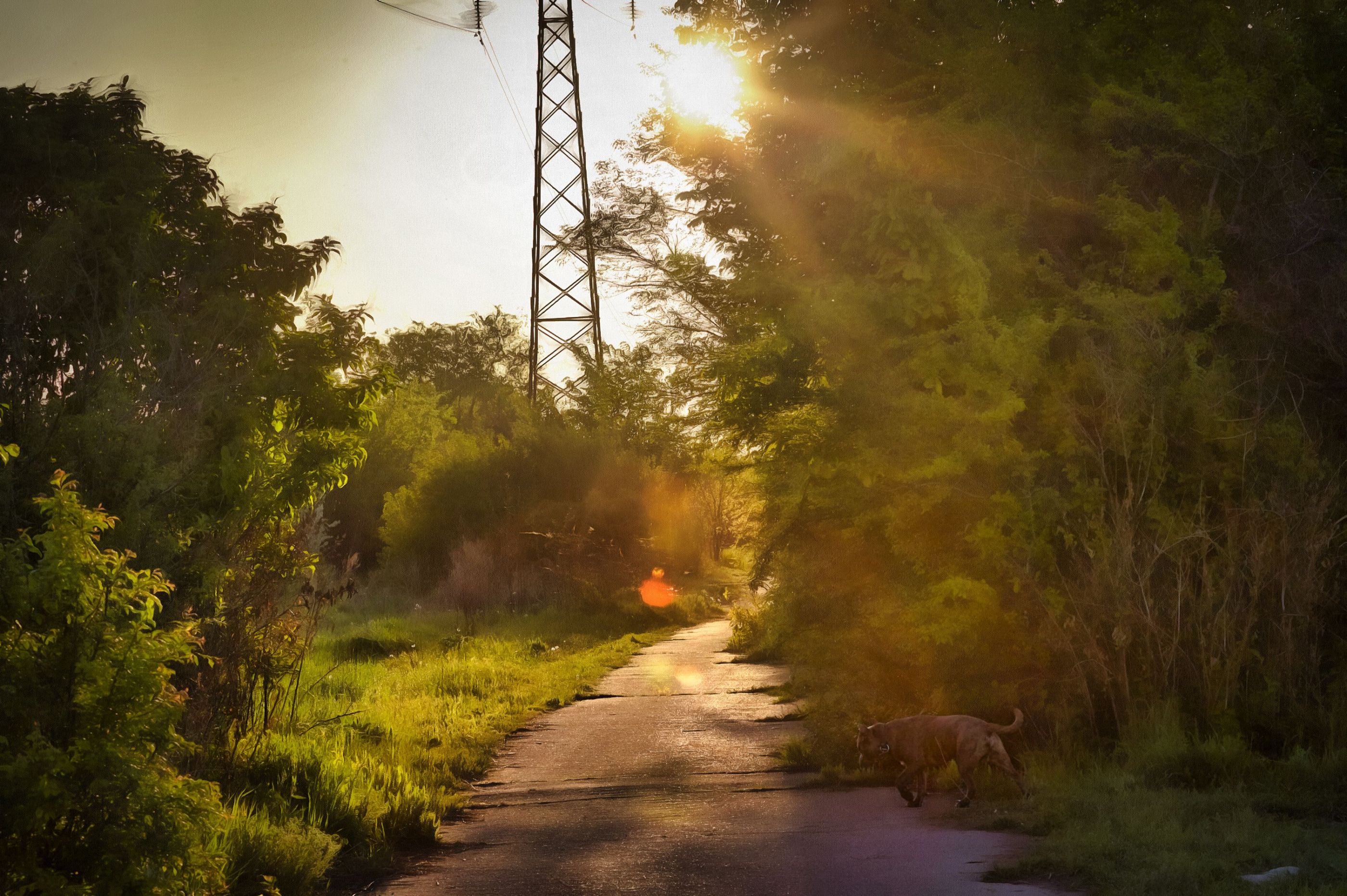 ботанический сад 2